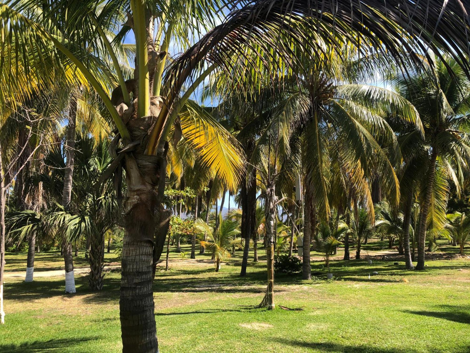 Casa Kundavi Beach Front Paradise Recado 외부 사진